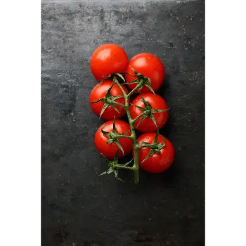 Fresh Tomato 